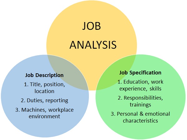 职位分析-职位描述和职位说明