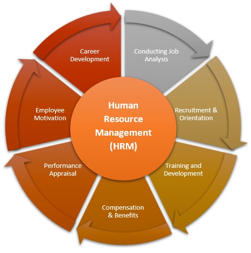人力资源管理(HRM)